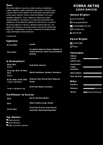 Çocuk Bakıcısı CV Örnekleri cv indir